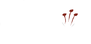 Eden at Byron Logo